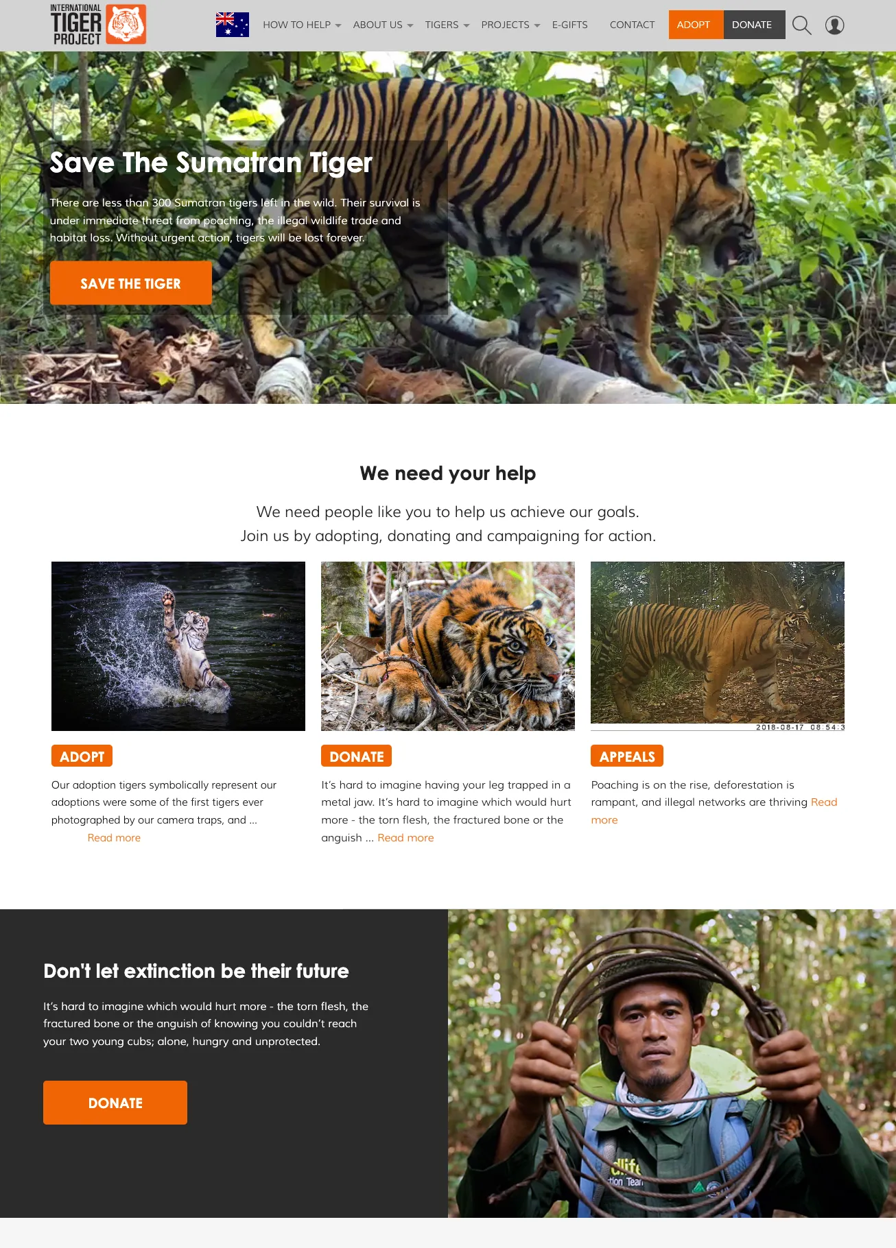 International Tiger Project homepage