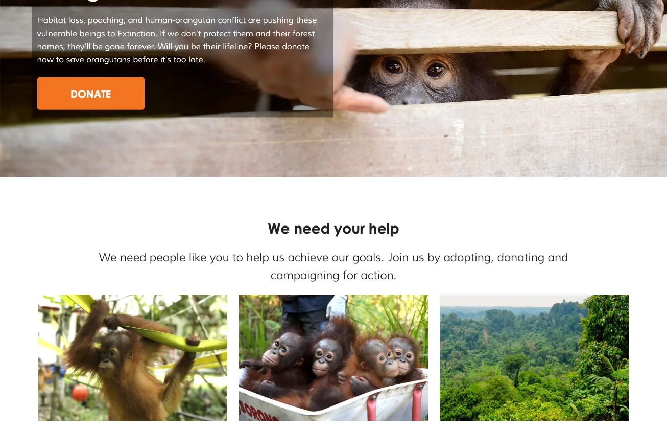 Multi-Site Fundraising and CRM Platform